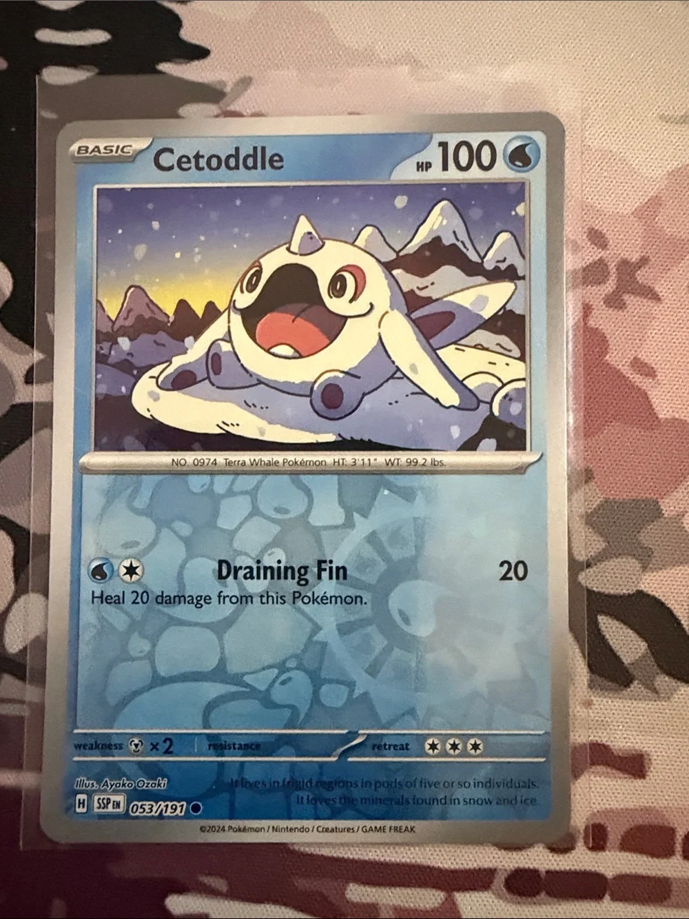 Cetoddle & Cetitan Pokémon Evolution Reverse Holo Card Lot 🧊 | 4 Cards ✨5/$25✨